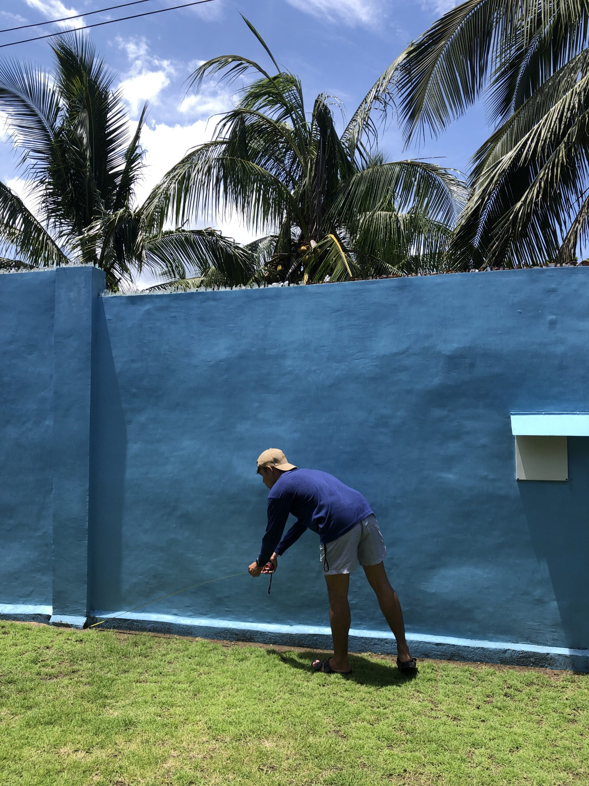 TAN Landscaping - Ongoing