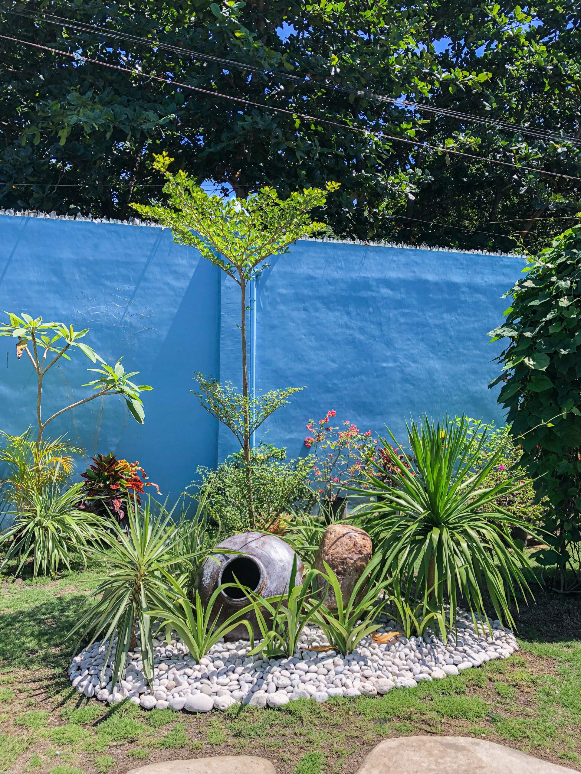TAN Landscaping - Completed