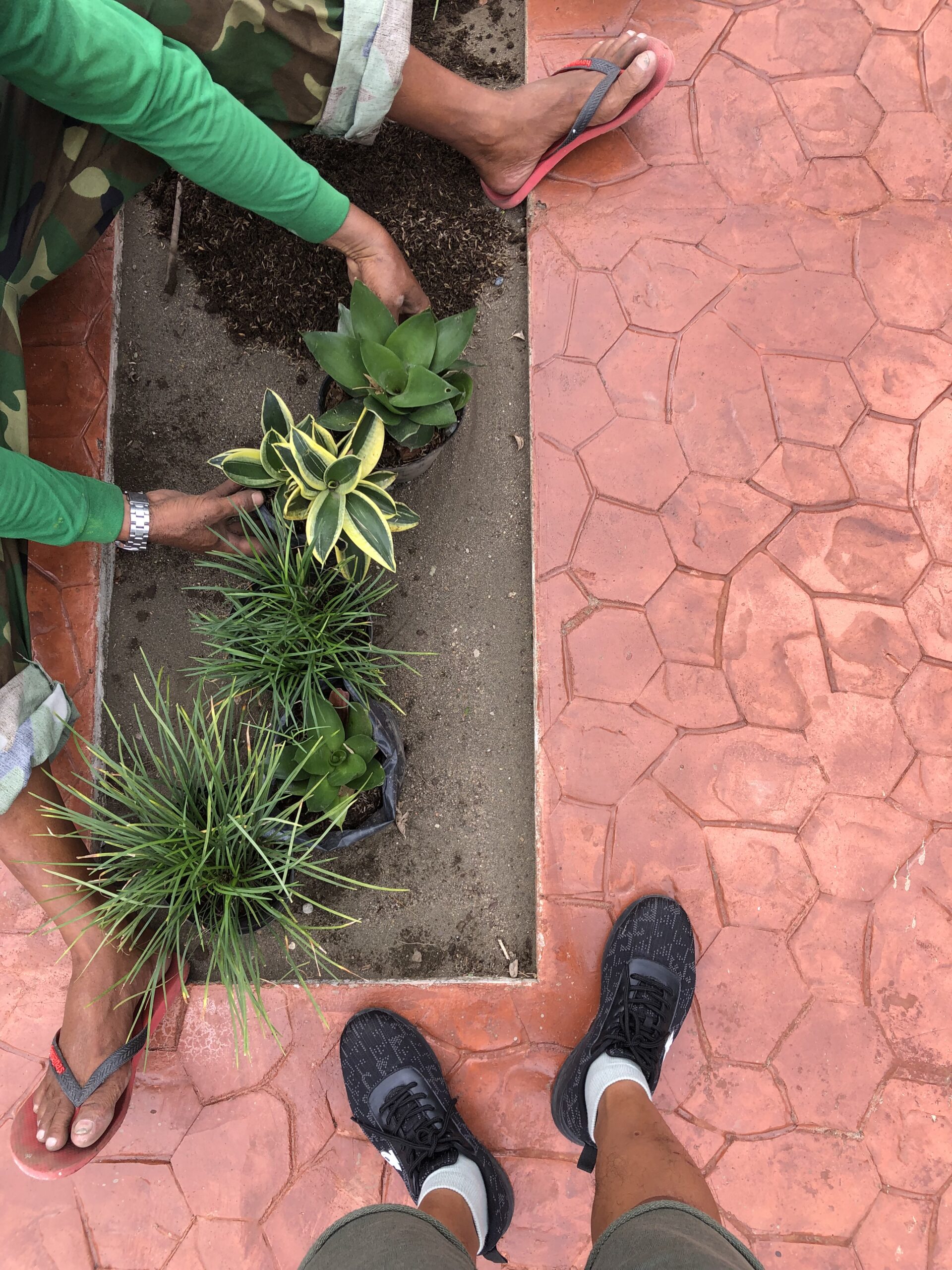 Tating Landscaping - Ongoing