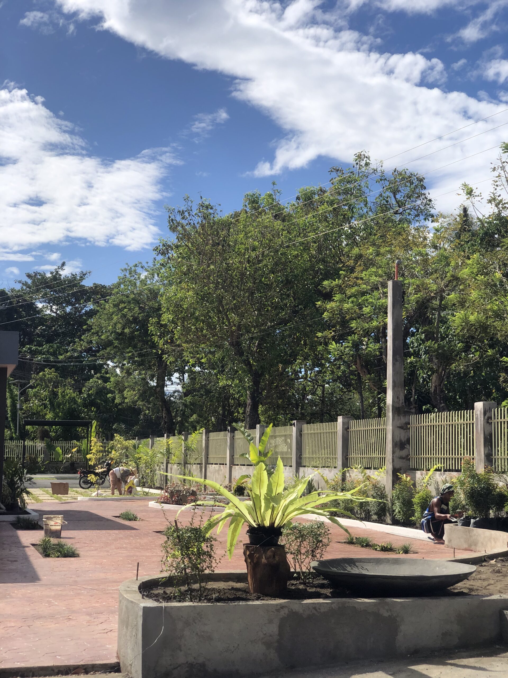 Tating Landscaping - Ongoing