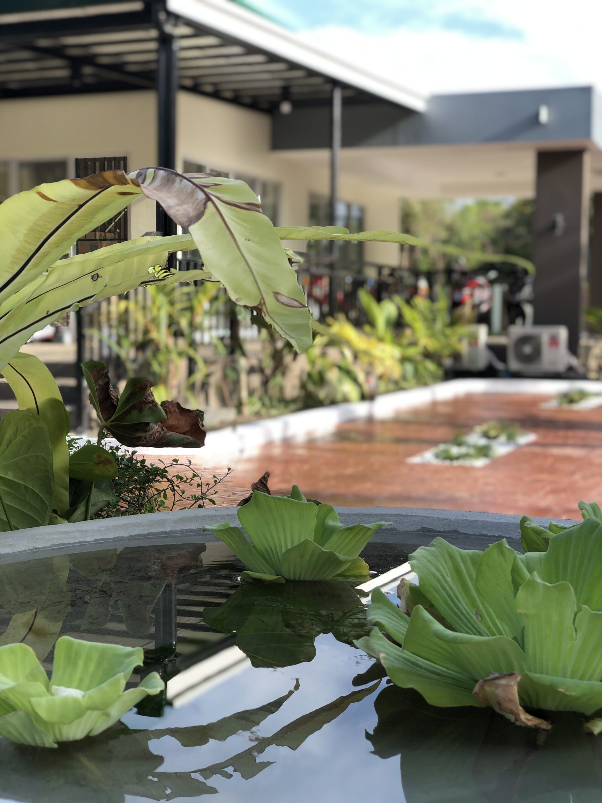 Tating Landscaping - Completed