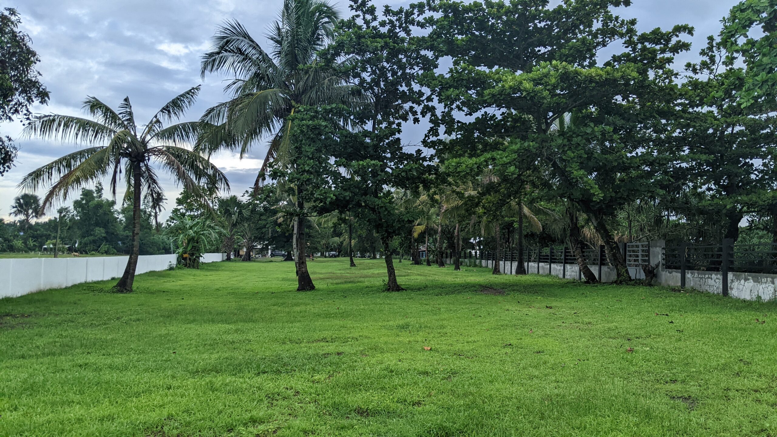 Salvacion Resort - Ongoing
